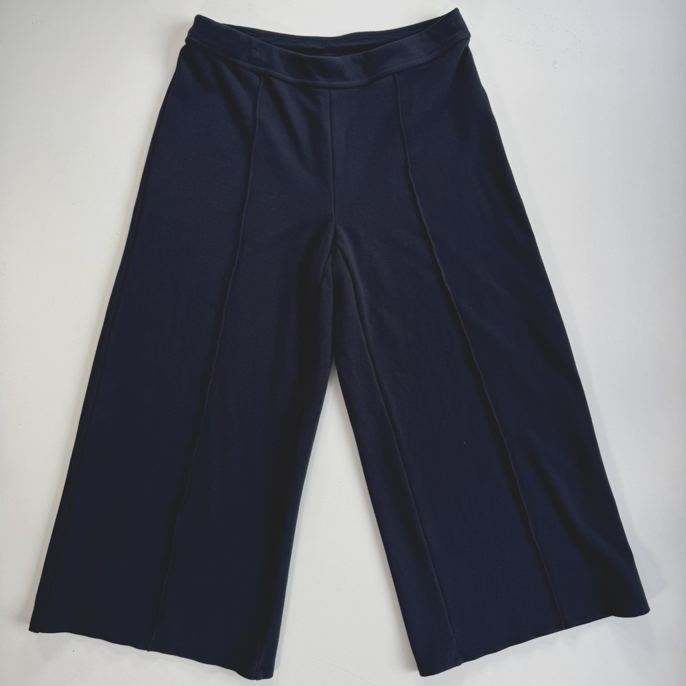 J JILL Wearever Pull On Elastic Waist Wide Leg Crop Pant Womens XS Petite Blue